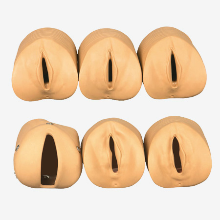 aǰmi׃caPϵģ